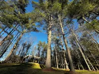 Stunning Glass House nestled in the Vermont wilderness!