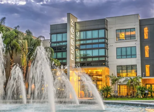Luxe Poolside Condo, King Bed, Near Mayo Clinic, St Johns Town Center & Beaches - Condos