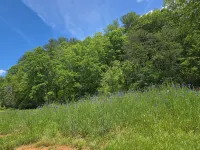 Saunders Cabin Wifi. Creek w/Fire Pit, Cornhole, ax Board, Horseshoes. Big Field - Homestays