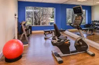 Holiday Inn Express & Suites URBANA-CHAMPAIGN (U OF I AREA) by IHG - Gym
