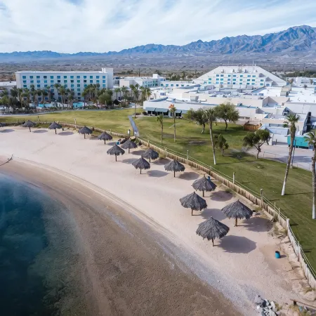 Avi Resort & Casino