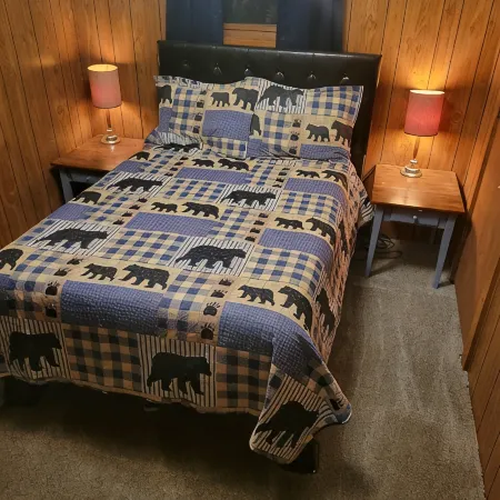 Four season fun, classic LAKEFRONT cabin for families!