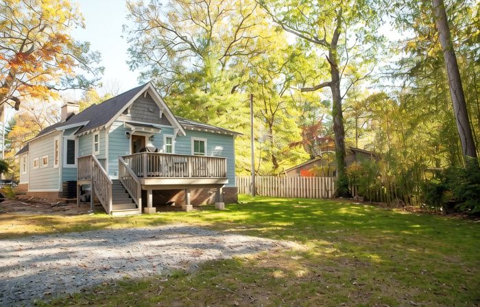 Cozy Cottage Across the Street from Carl Sandburg National Park