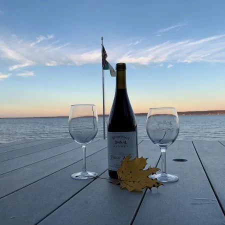 Cayuga Lake Front Home