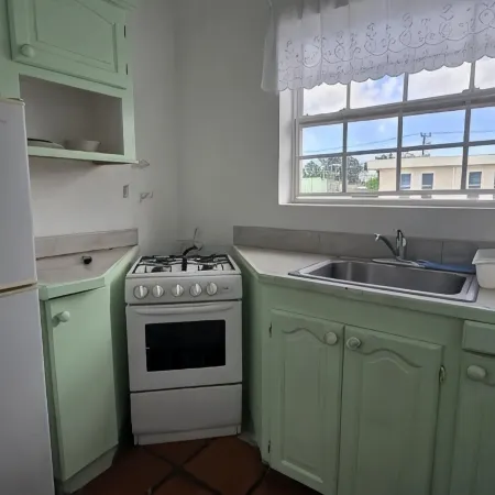 Classic One-Bedroom Apartment W King bed