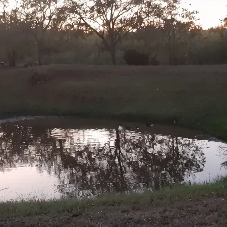 Quiet country cabin just 30 minutes from Austin Airport