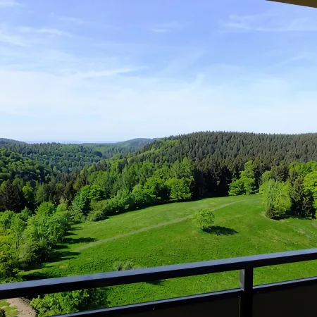 Holiday Apartment in the Harz