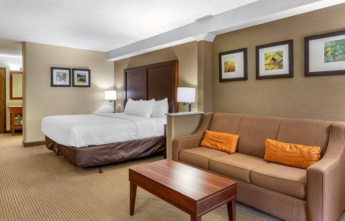 Comfort Inn & Suites Near Danville Mall