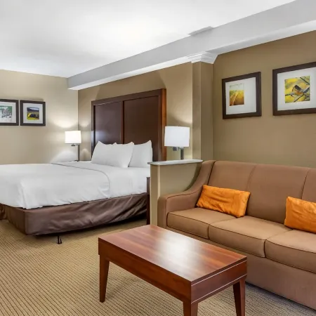 Comfort Inn & Suites Near Danville Mall