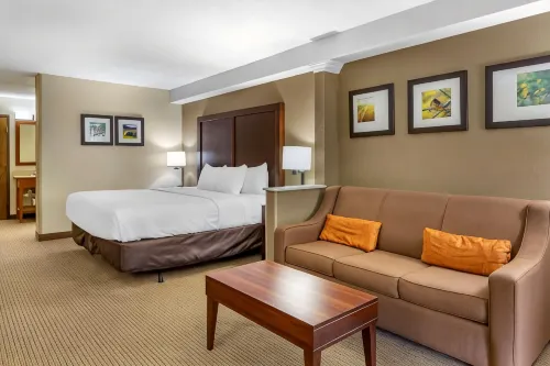 Comfort Inn & Suites Near Danville Mall - WiFi