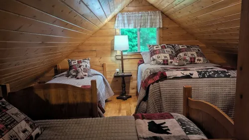 Cozy cabin in the Maine woods.  Direct access to ATV/Snowmobile trails. - Homestays