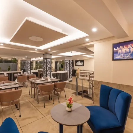 Wood Stock Kasauli - Rooms & Cottages - Panoramic View & Balcony Rooms