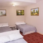 Avtor Hotel - สัตว์เลี้ยง