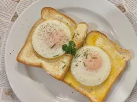 Amalfi Motor Lodge Hotels near Upper Riccarton