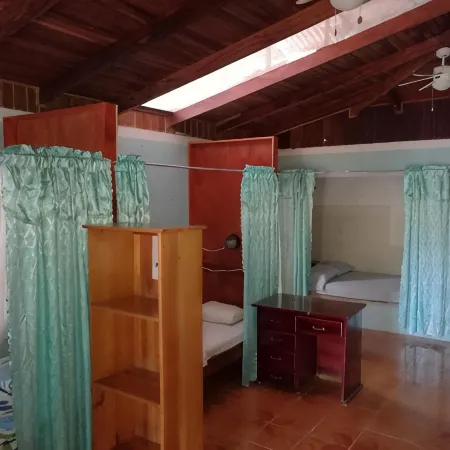 Hostel y Cabinas Tapandua