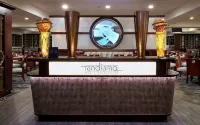 Hilton Chicago O'Hare Airport - bar