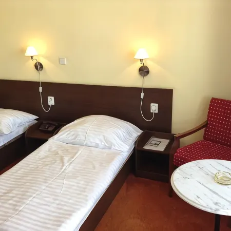 Hotel York Hotels in Pilsen