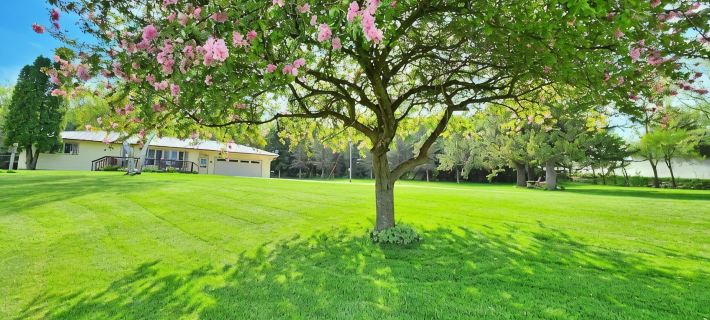 COUNTRY VIEW GETAWAY: ATV/UTV and Country Living Combined, Sleeps 8, near Town. Hotels in Allamakee County