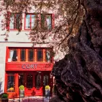 Hotel Cort - WiFi