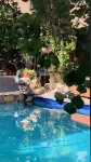 Manaya Bed & Breakfast - Kolam Renang