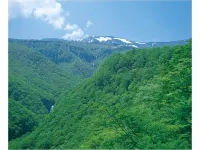 Tamaya Ryokan - Wifi
