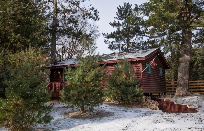 Rustic and Charming one Bedroom cabin. Upgraded pontoon!