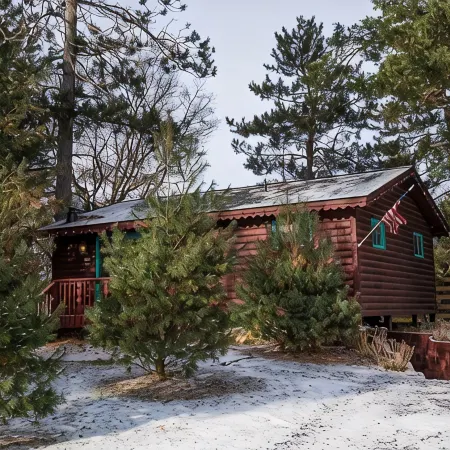 Rustic and Charming one Bedroom cabin. Upgraded pontoon!