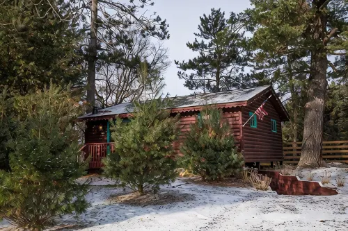Rustic and Charming one Bedroom cabin. Upgraded pontoon! - Wi-Fi