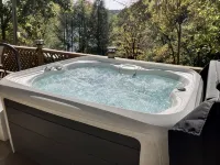 Cozy Mountain Cabin near Ohiopyle, Hot-Tub - 3-Star