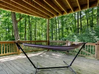 Elk Mountain Lodge: An AVL Mountain Escape w/Hot Tub, Fireplace, Hi-Speed Wifi - Chalets