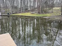 Dog friendly waterfront home restaurant boat rentals arcade putt putt ice cream - 4 tähden