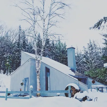 Falcon House: VT Modern Chalet w/Sauna on 25 Acres - Hike - Bike to Village