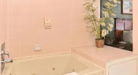 Americas Best Value Inn-Redlands/San Bernardino - WiFi