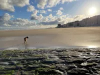 Cozy apartment on the seawall in Westende - Beach