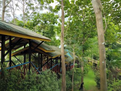 ホテル周辺 セピロック ジャングル リゾートの写真