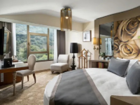 Kaya Izmir Thermal & Convention