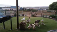 The Stables Hotels in Langebaan