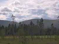 Tunturitupa Kuolpuna