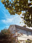 Alamar Salinas House فنادق في Aviles