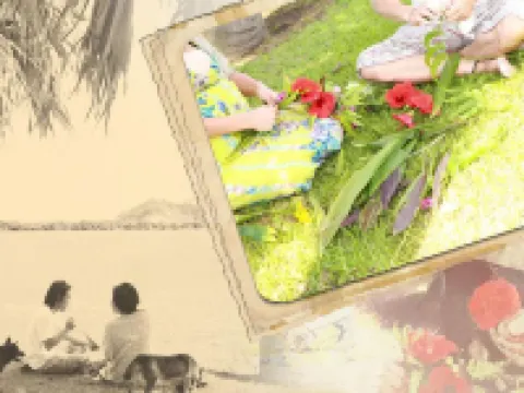 Tanegashima Minshuku Hapisuma Hotels in Minamitane