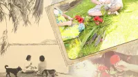 Tanegashima Minshuku Hapisuma Hotel a Minamitane