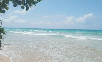 La Luciernaga Big Creek