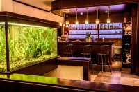 Eco Friendly Hotel Dália - bar