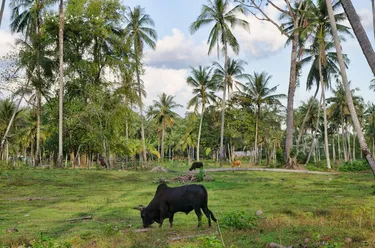 รูปภาพของตลาดเก่า บัลโคนี่ กระบี่ - โฮสเทล