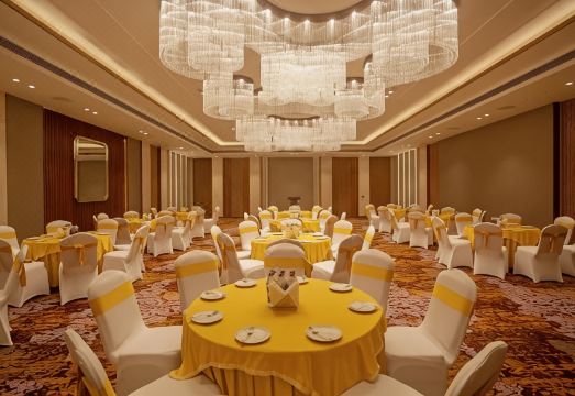 야망의 아리스타