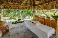 Regis Hotel Spa - spa