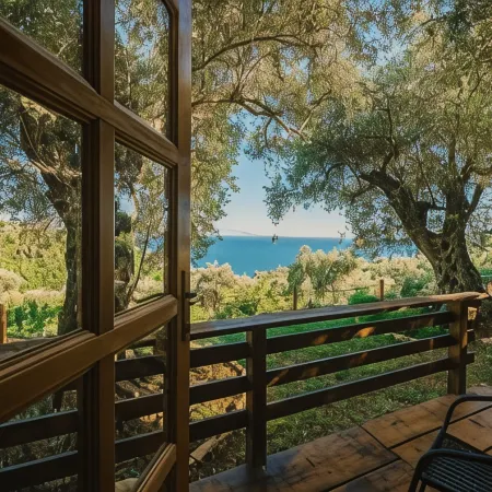 Holiday Park Olive Tree