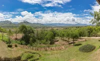 The Heart of Pai
