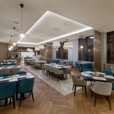Congress & Wellness Hotel Olsanka