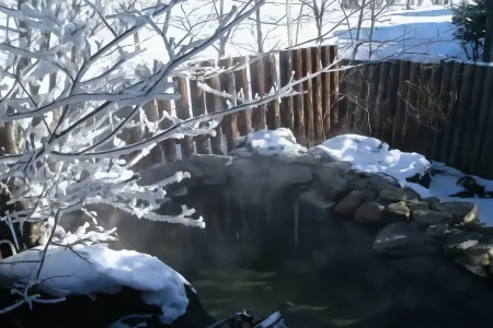 Pension Birao Отели рядом с достопримечательностью «Kotan Onsen Hot Spring»